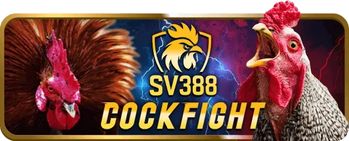 Các phương thức liên hệ đa dạng của 88vv app
